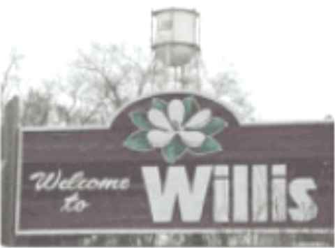 willis.jpg